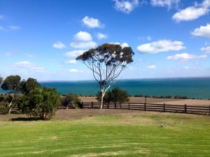 603752_713322452120749_2864118772225711730_n